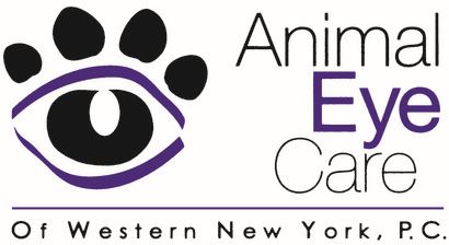 Animal Eye Care of Western New York